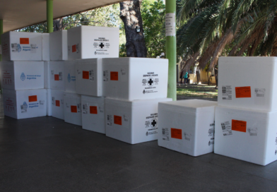 Catamarca recibió 9 mil vacunas antigripales