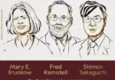 El premio Nobel de Medicina 2025 fue otorgado a Mary E. Brunkow, Fred Ramsdell y Shimon Sakaguchi