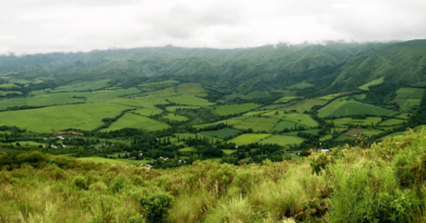 Nutrida agenda cultural para despedir febrero en Catamarca