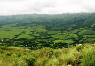Nutrida agenda cultural para despedir febrero en Catamarca