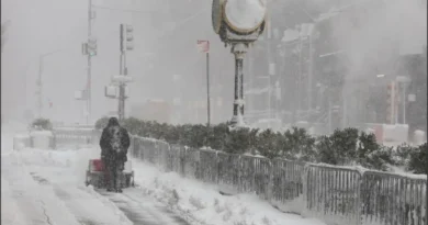 Tormenta de nieve azota Nueva York y paraliza el noreste de EE. UU.