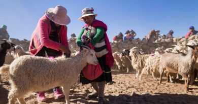 Catamarca propone una amplia agenda de actividades para Semana Santa