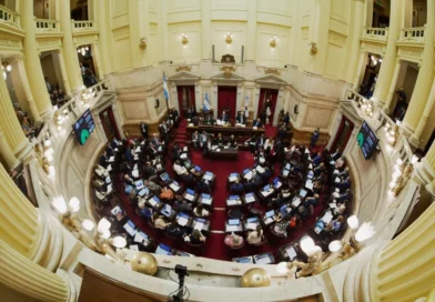 Senado debate la reforma de Salud Mental