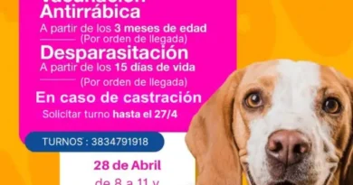 Quirofáno movil recorrerá plazas de la ciudad con atención gratuita para perros y gatos
