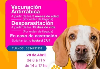 Quirofáno movil recorrerá plazas de la ciudad con atención gratuita para perros y gatos