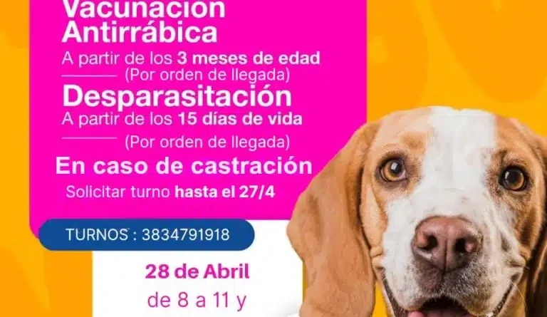Quirofáno movil recorrerá plazas de la ciudad con atención gratuita para perros y gatos