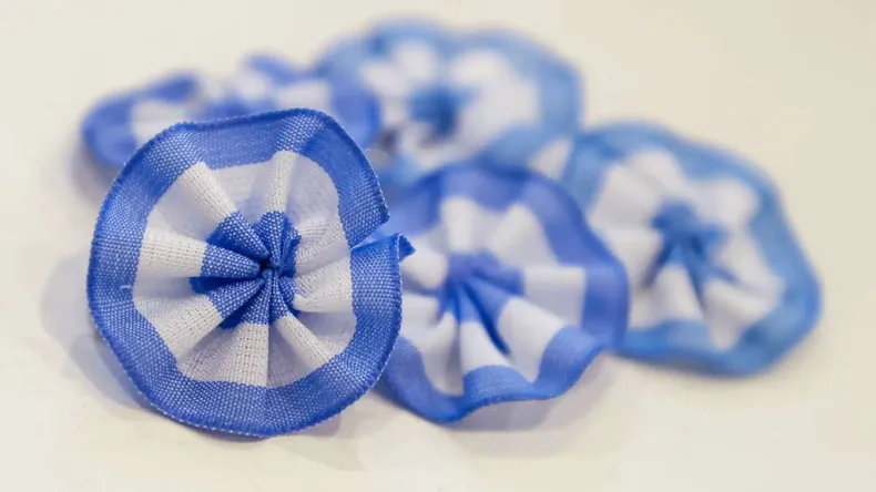 Día de la Escarapela: por qué se conmemora hoy