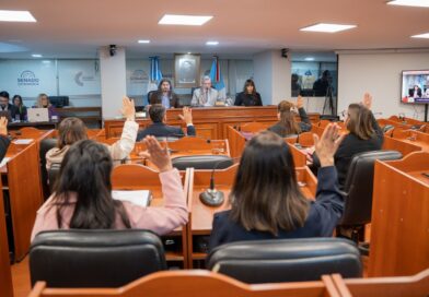 El Senado dio media sanción a iniciativas vinculadas a políticas sociales, deporte y reconocimiento comunitario