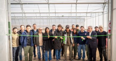 Empresa agroindustrial inaugura un vivero con tecnología de avanzada