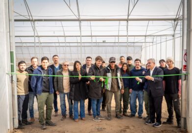 Empresa agroindustrial inaugura un vivero con tecnología de avanzada