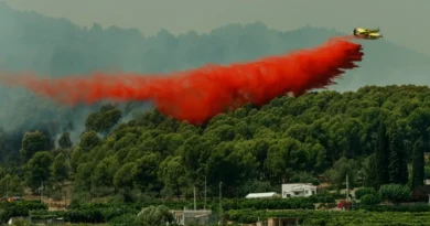 España enfrenta el incendio forestal más grande de su historia: más de 100.000 afectados