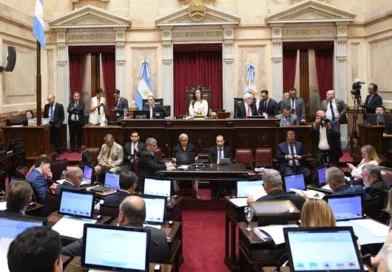 Sesión en el Senado: el Gobierno va por la reforma de la ley de Tierras y de Manejo del Fuego