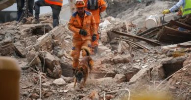 Terremoto en Colombia: ya son 294 los muertos 