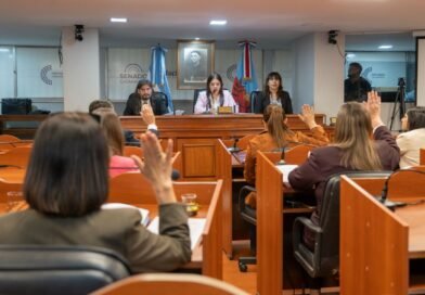 El Senado sancionó la ley de Registro de Agresores Sexuales y avanzó con la adhesión de Catamarca al régimen de Zona Franca