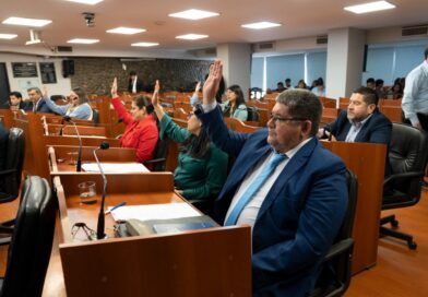 El Senado dió media sanción al proyecto de Salud Mental y otros proyectos