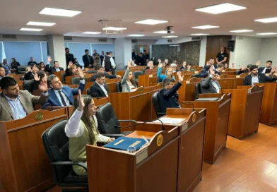 Diputados dio media sanción al nuevo régimen penal juvenil 