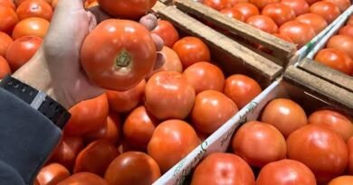 Inflación: los 20 productos básicos que más aumentaron en septiembre